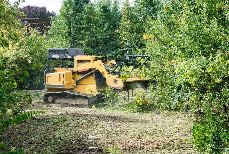 Easement Land Clearing in Marietta, GA