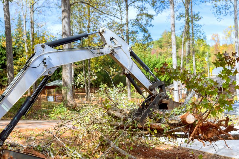 Easement Land Clearing in Marietta, GA