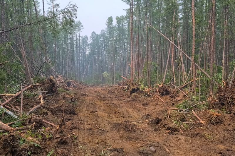 Hill Clearing in Atlanta, GA