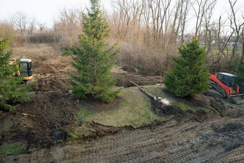 Thicket Clearing in Marietta, GA