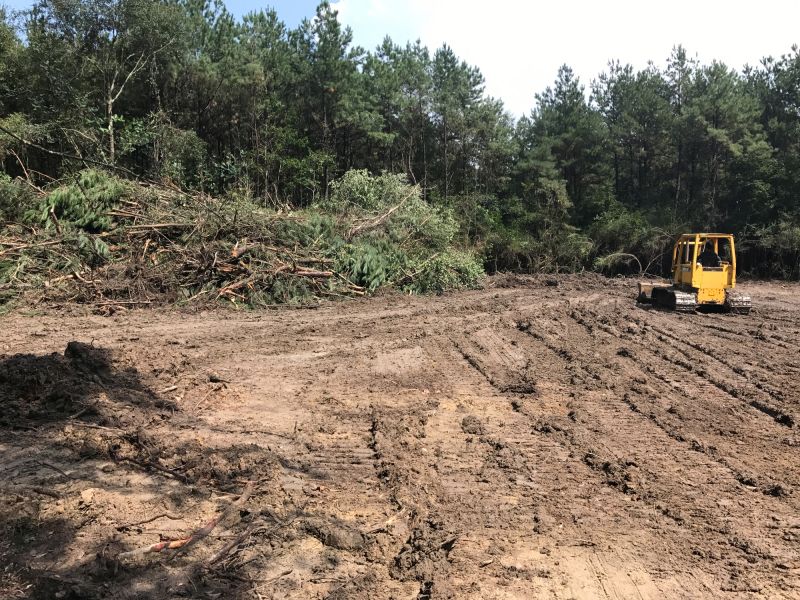 Thicket Clearing in Houston, TX